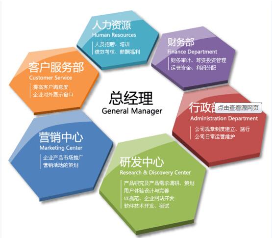 软件研发与推广企业的组织结构设计